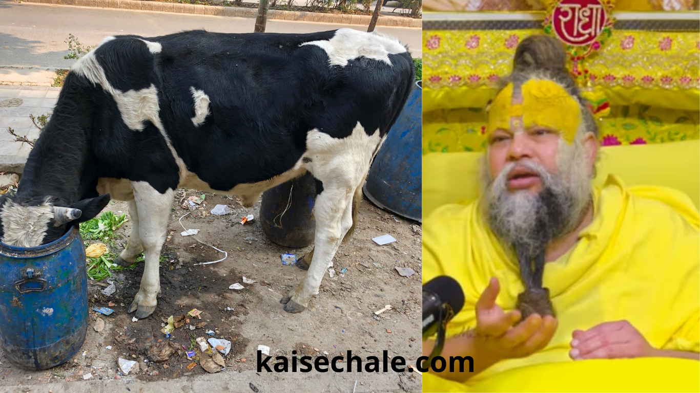 गौ माता क्यों आवारा घूम रही हैं? कारण और समाधान