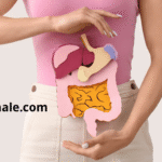 digestive sysytem