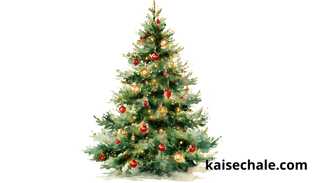 क्रिसमस की रौनक में ठंडक क्यों, क्या हिंदुत्व इसके पीछे कारण है?